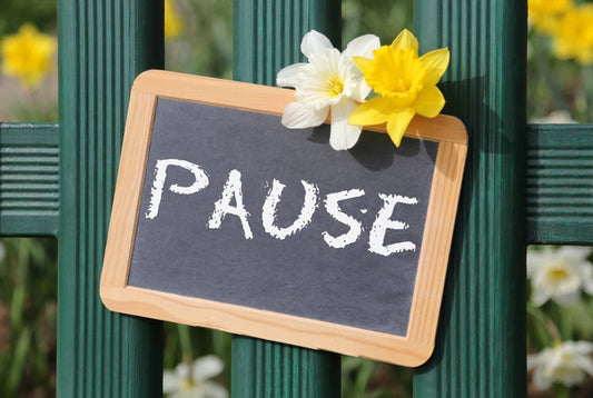 Pausing-Custom-Orders-Due-to-Medical-Leave Holly's Hand Poured Hobbies LLC