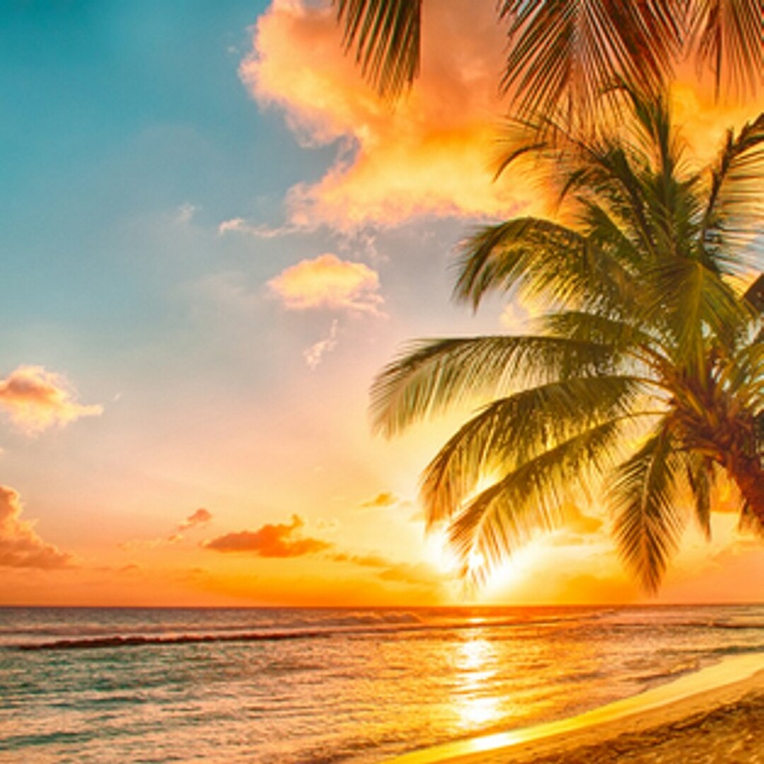 Buy custom made nontoxic soy-coco wax melts in 4 Packs. Custom, made to order, in Ohio.