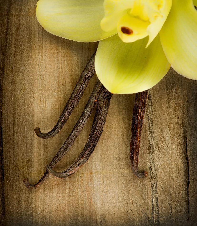 Buy custom made nontoxic soy-coco wax melts in 4 Packs. Custom, made to order, in Ohio.