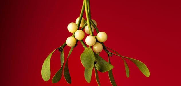 Buy custom made scented Astrology 7 Day Prayer Candle online.