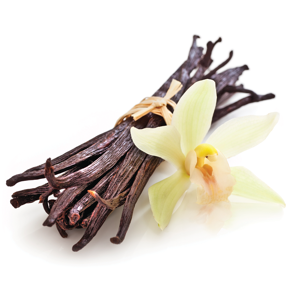 Highly Scented Incense Sticks – Hand-Dipped with Essential Oils Holly's Hand Poured Hobbies Candle Shop
