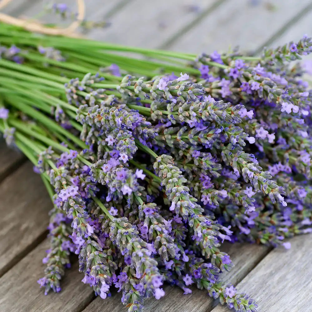 Calming Lavender Scent Spell Melts Infused w/ Amethyst Crystals