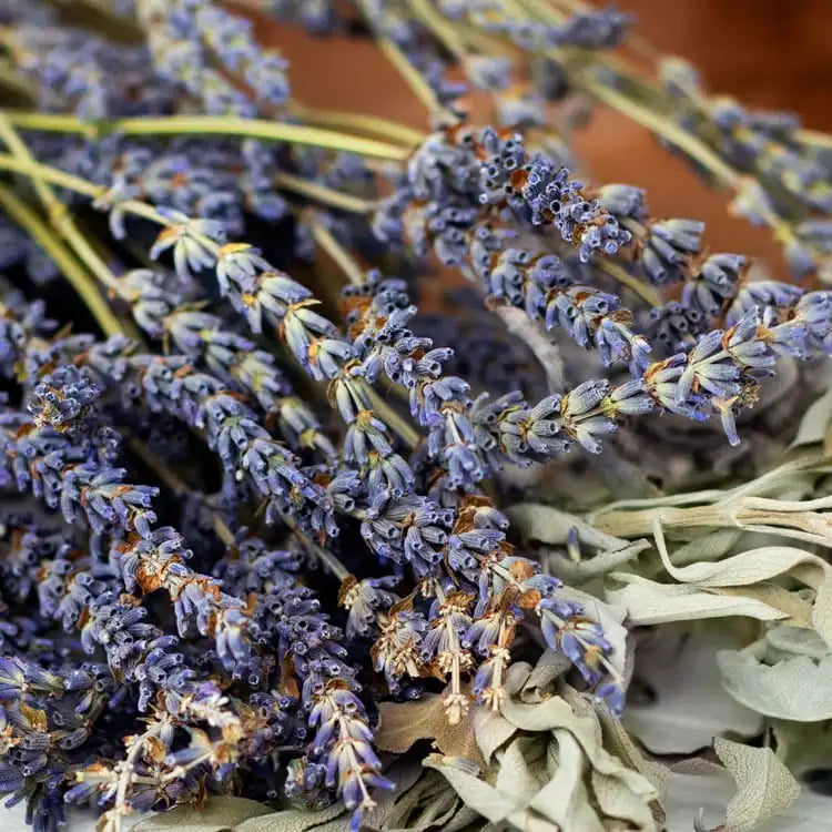 Highly Scented Incense Sticks – Hand-Dipped with Essential Oils Holly's Hand Poured Hobbies Candle Shop