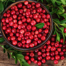 Cozy Glass Jar Candle – Hand-Poured Soy, Clean-Burning Scents Holly's Hand Poured Hobbies Candle Shop