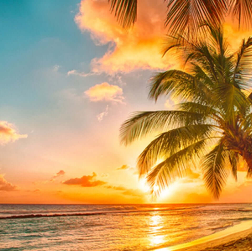 Buy large 20 oz Strongly Scented Soy Candles in Glass Jars online. Choose from over 40 scents.