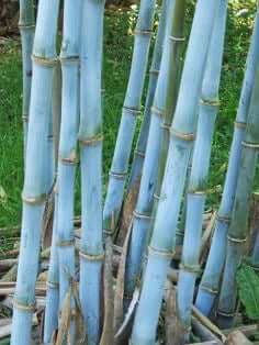 Buy chakra crystal prayer candles online. Scented soy-coco wax blends.