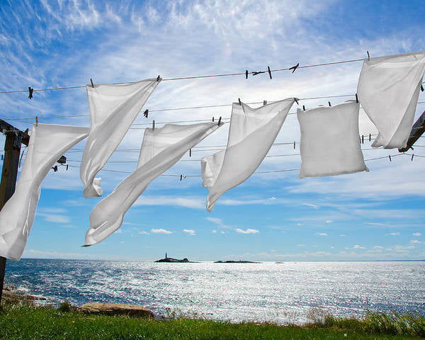 Buy Hand Poured Nontoxic Scented Soy Wax Melts online. Handmade in Ohio.