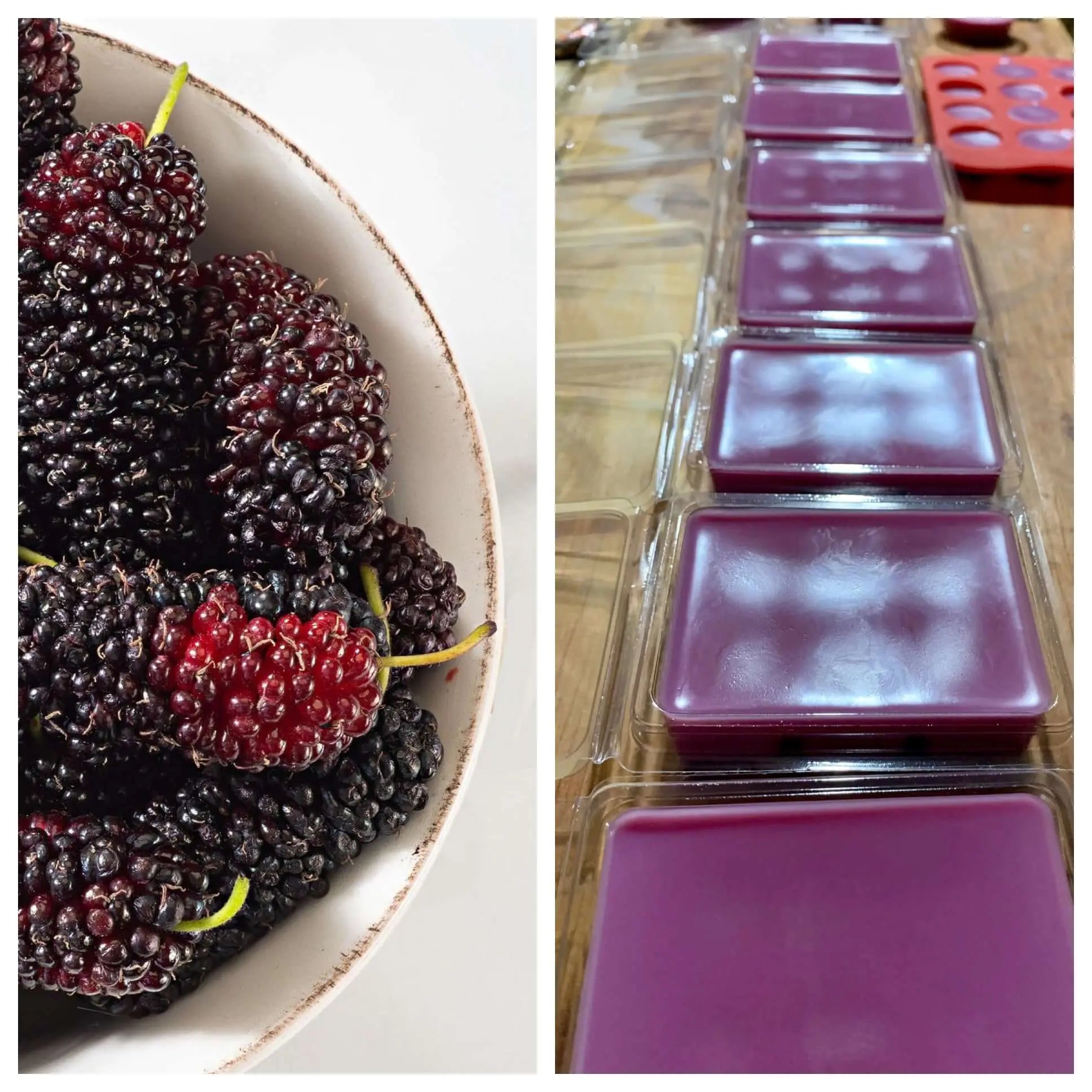 Buy Hand Poured Nontoxic Scented Soy Wax Melts online. Handmade in Ohio.