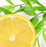 Buy Hand Poured Nontoxic Scented Soy Wax Melts online. Handmade in Ohio.